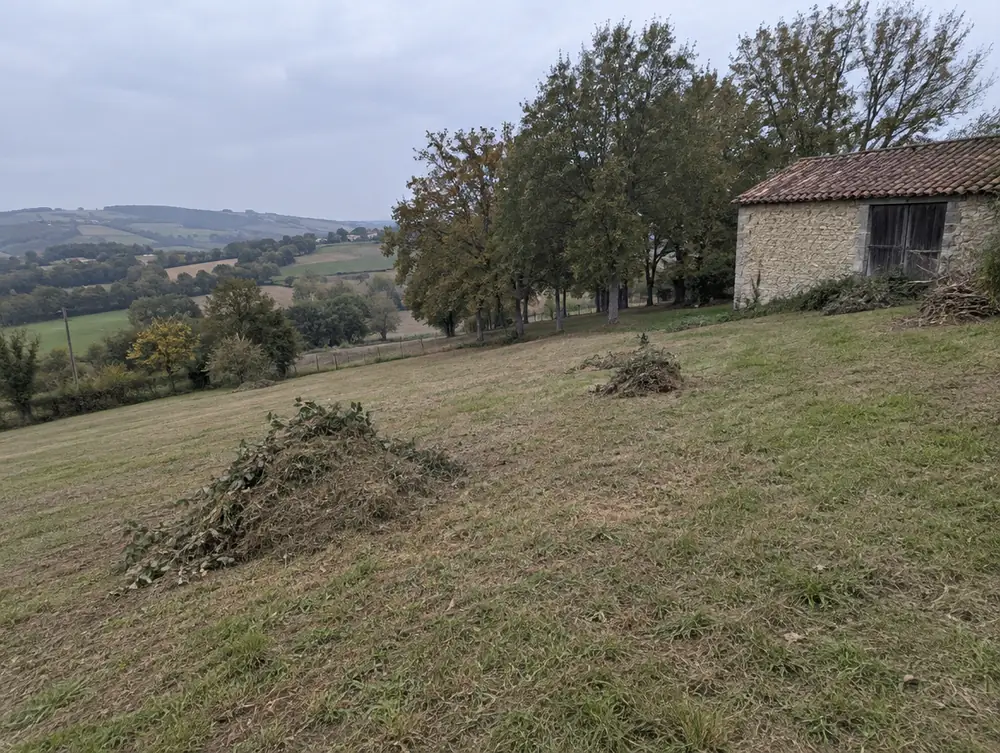 Après : terrain dégagé et propre