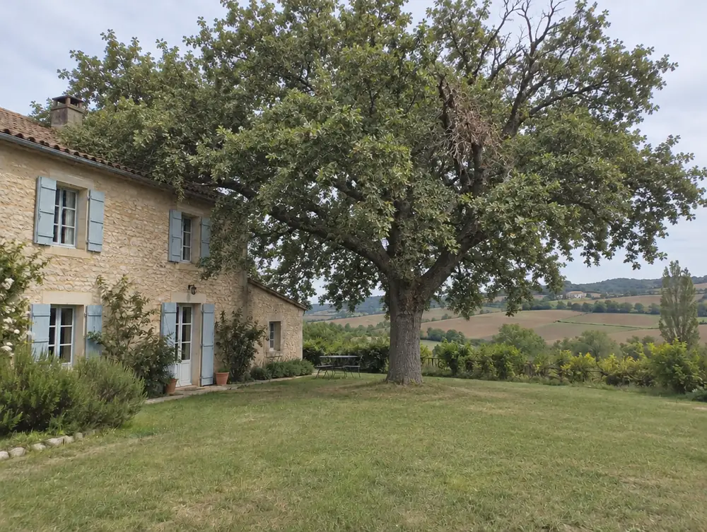 Avant : gros chêne touffu qui fait de l'ombre à la maison